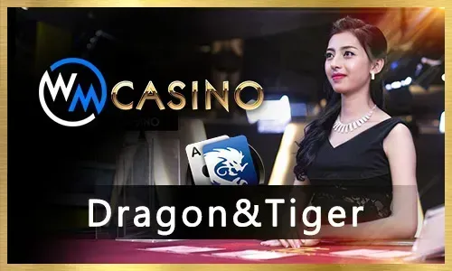 Live Dealer dealing cards at spinplus casino